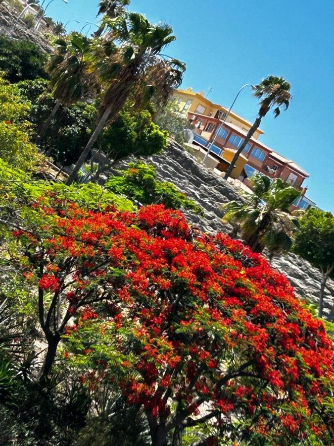 Villa Natali ,Luxury 3-Levels Large Villa On Tenerife, Ocean View, Private Poo L& Barbecue Area Costa Adeje  Eksteriør bilde