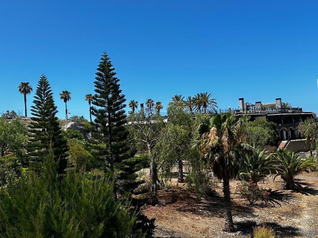 Villa Natali ,Luxury 3-Levels Large Villa On Tenerife, Ocean View, Private Poo L& Barbecue Area Costa Adeje  Eksteriør bilde